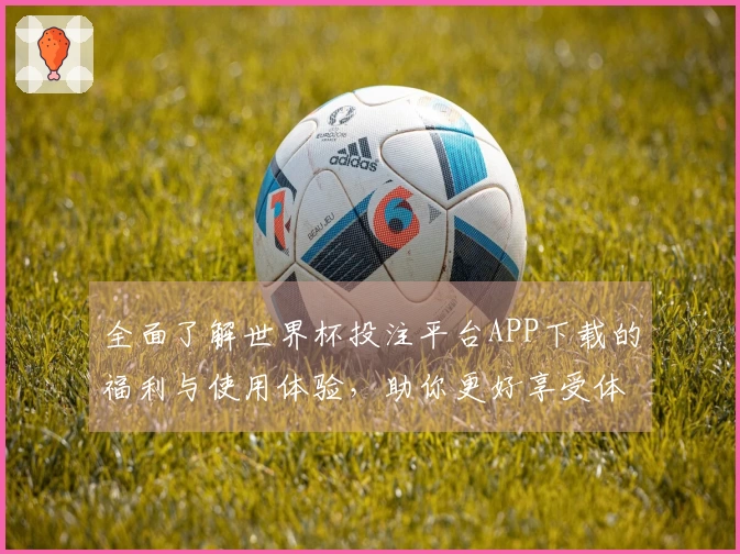 全面了解世界杯投注平台APP下载的福利与使用体验，助你更好享受体育直播！