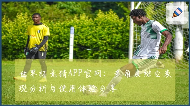 世界杯竞猜APP官网：多角度综合表现分析与使用体验分享