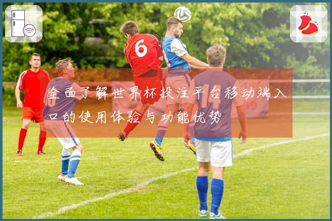 全面了解世界杯投注平台移动端入口的使用体验与功能优势