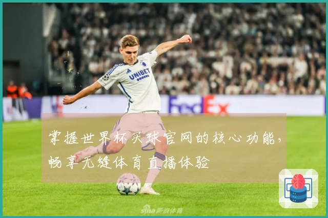 掌握世界杯买球官网的核心功能，畅享无缝体育直播体验