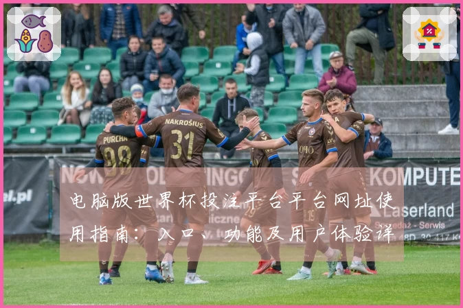 电脑版世界杯投注平台平台网址使用指南：入口、功能及用户体验详解