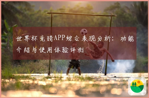 世界杯竞猜APP综合表现分析：功能介绍与使用体验评测