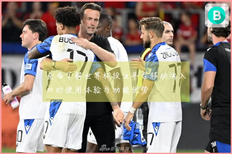 全面了解世界杯投注平台移动端入口的使用体验与功能优势